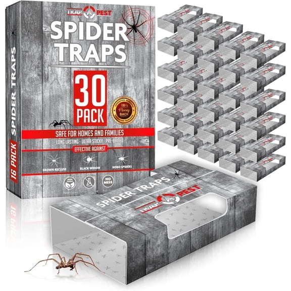 Spider Traps for Inside Your Home (30 Traps) - Spider Catcher Insect Traps Indoor - Spider Traps Indoor Bug Traps Sticky Traps for Spiders - P re Baited Ultra Sticky Insect Glue Traps - no b r and