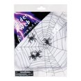 thumbnail image 1 of Spider Web with Spiders, 1 of 1