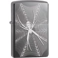 thumbnail image 1 of Spider & Web, 1 of 5