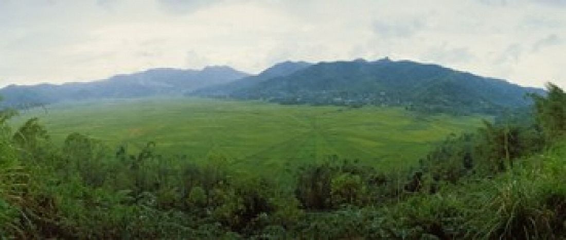 Spider web rice field Flores Island Indonesia Canvas Art - Panoramic Images (30 x 13)