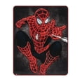 thumbnail image 1 of Marvel Spider-Man High Shine Wall Art Décor 14", 1 of 4