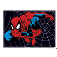 thumbnail image 1 of Spiderman on Web PHOTO MAGNET 2 1/2" x 3 1/2 ITEM: 21122MV Ata-boy, 1 of 5