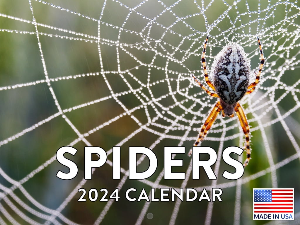 Spiders 2025 Wall Calendar