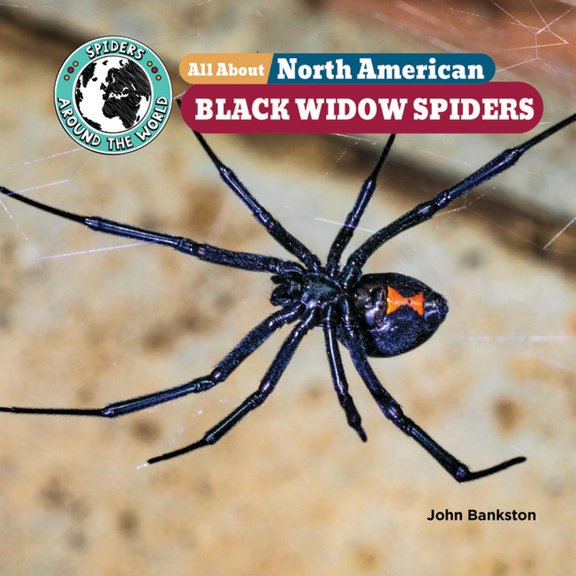 Spiders Around the World: North America All about North American Black Widow Spiders, (Paperback)