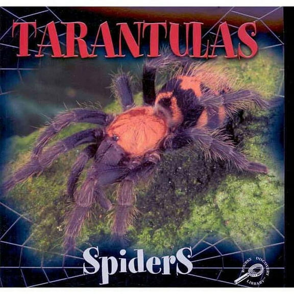 Spiders Discovery Library: Tarantulas (Paperback)