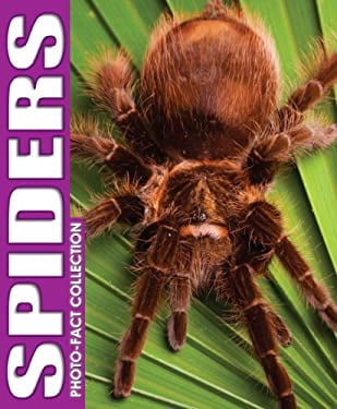 Spider Photo Collection Pre-Owned Spiders (Photo-Fact Collection) - Walmart.com