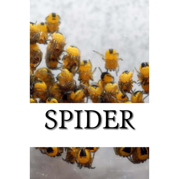 Spiders: Spider (Paperback)