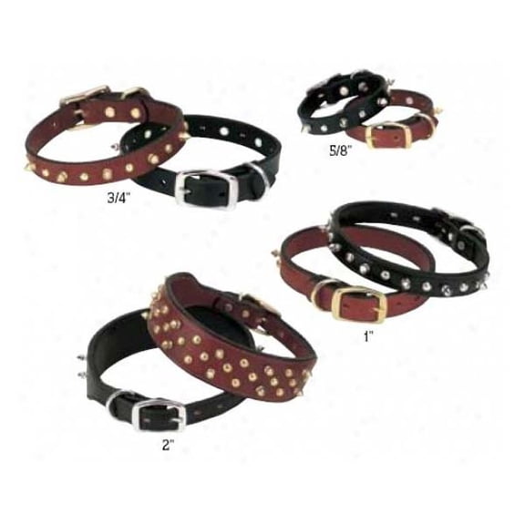 Weaver Pet Spike Collar: Stylish, Durable Leather Collar for Dogs 2" x 27"