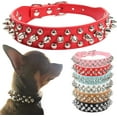thumbnail image 1 of Spiked Dog Collar Soft Pu Leather Funny Mushrooms Rivet Spike Studded Puppy Collar Adjustable Outdoor Pet Dog Collar for Small Medium Large Dogs Cats, 1 of 7