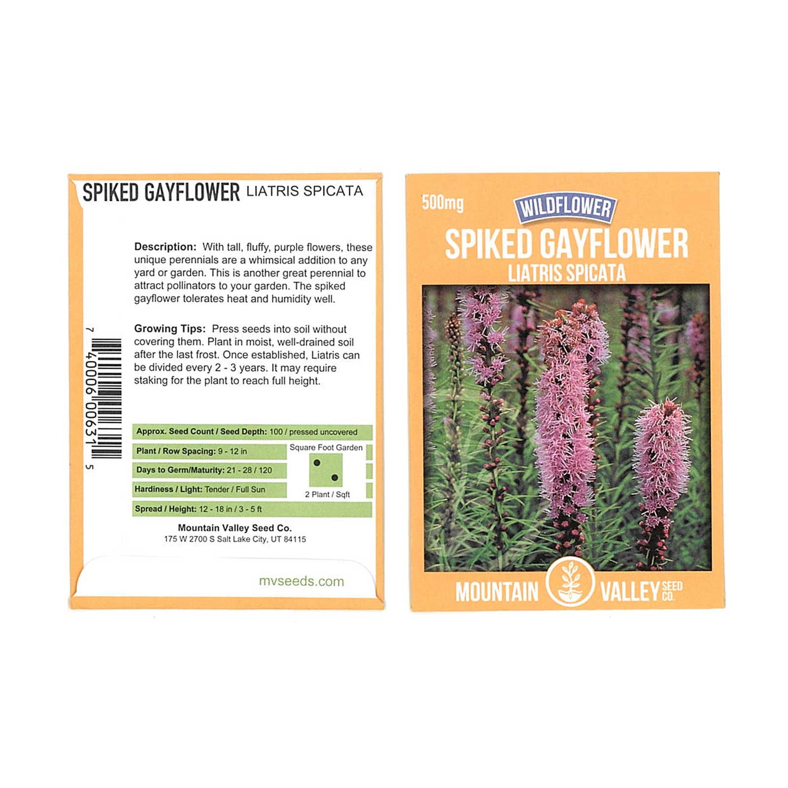 Mountain Valley Seed Company Liatris Spiked Gayfeather Seeds - Thumbnail 3