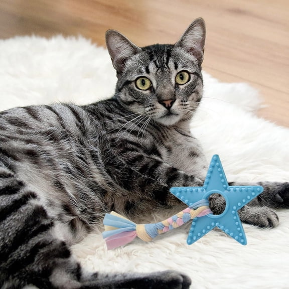 Spiked Star Plastic Dog Chew Toy with Rope – Durable for Aggressive Chewers and Teeth Cleaning – A