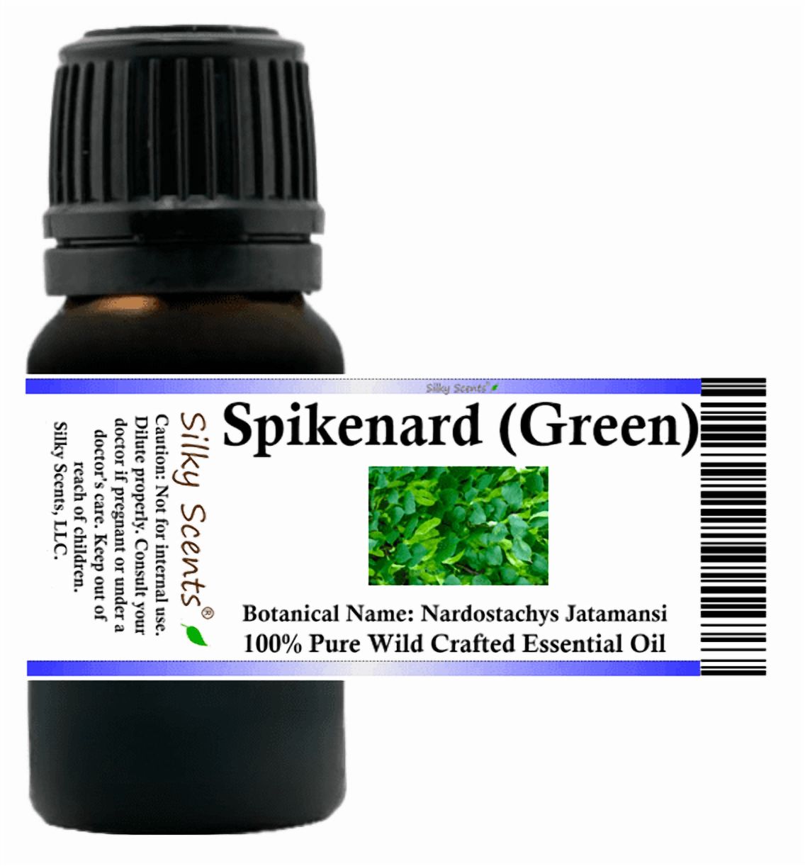 Spikenard Green Wild Crafted Essential Oil 10 ml (1/3 fl oz) - 100% Pure and Natural by Silky Scents
