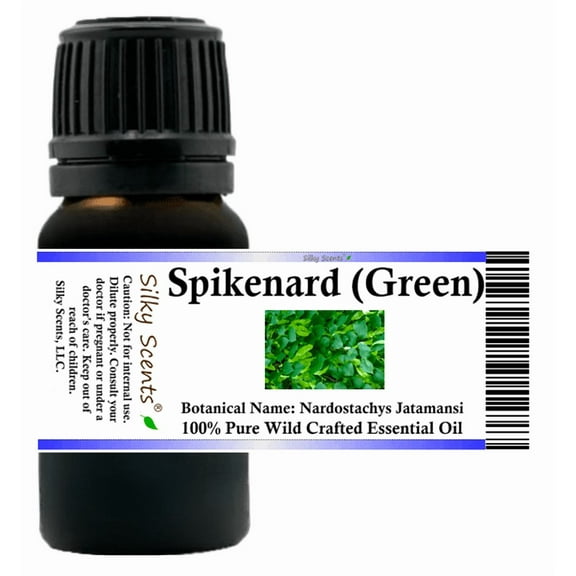 Spikenard Green Wild Crafted Essential Oil 5 ml (1/6 fl oz) - 100% Pure and Natural by Silky Scents