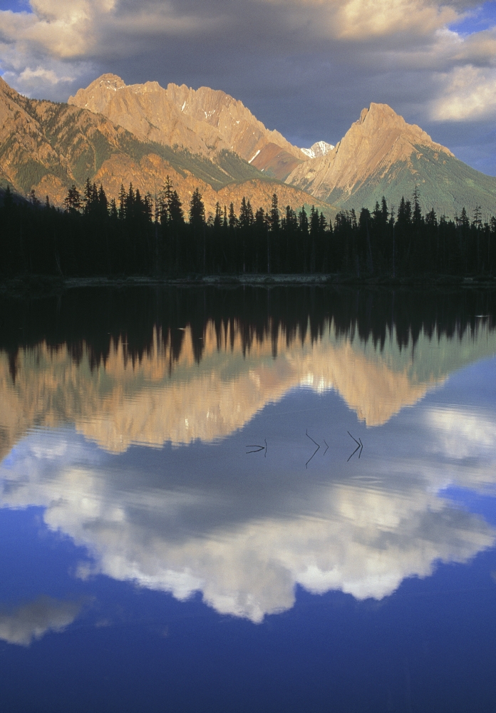 Spillway Lake And The Opal Range Peter Lougheed Provincial Park Kananaskis Country Alberta Canvas Art - Darwin Wiggett Design Pics (22 x 32)