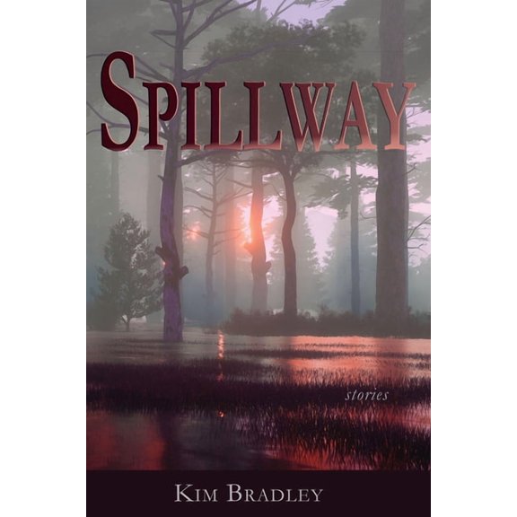 Spillway (Paperback)