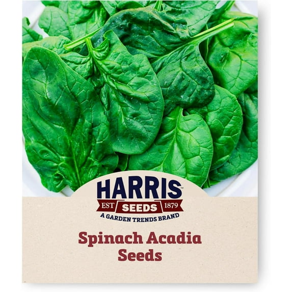 Harris Seeds - Acadia Spinach Seeds Organic Non-GMO, 1,000 Seeds