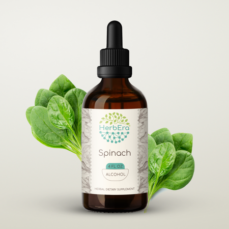 Spinach Alcohol Herbal Extract Tincture, Super-Concentrated Spinach (Spinacia oleracea) Dried Leaf 4 oz