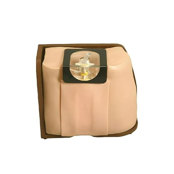 Spinal Puncture Model, Spinal Puncture Training Model, epidural Anesthesia Clinical Training Model