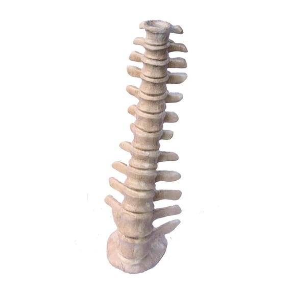 Spine Candle Holder