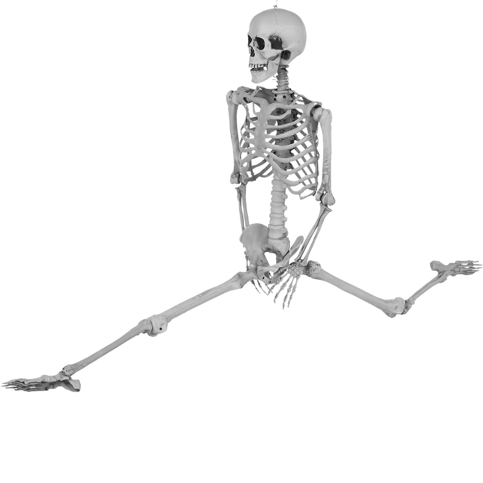 Spine-Chilling Elegance: Our 84-Inch Halloween Skeleton Decoration ...