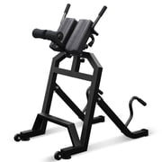 FiitDavz Metal Spine Decompression Roman Chair Hyperextension Bench Adjustable, 350lb Capacity, 1-Count