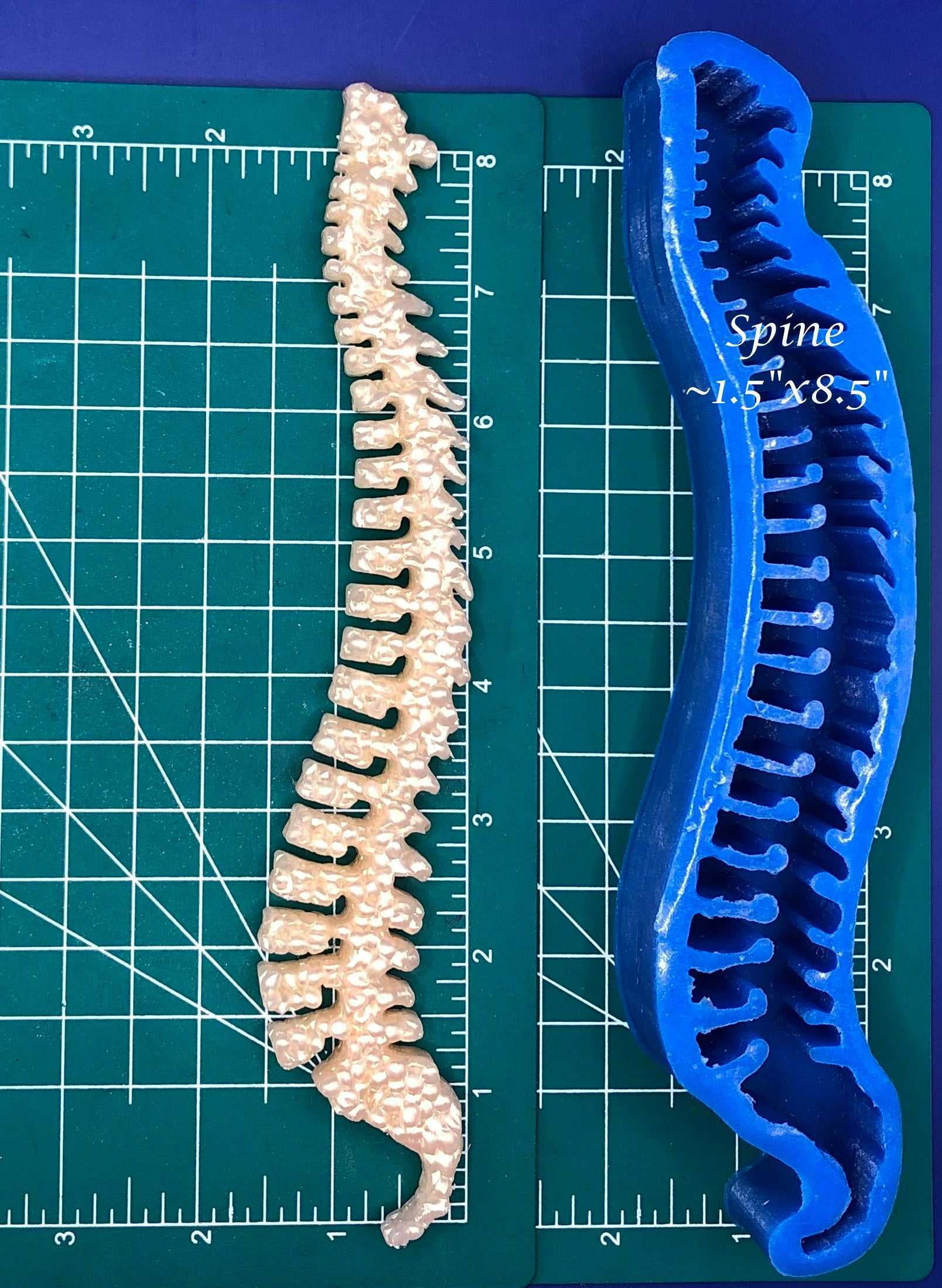Spine Silicone Freshie Mold