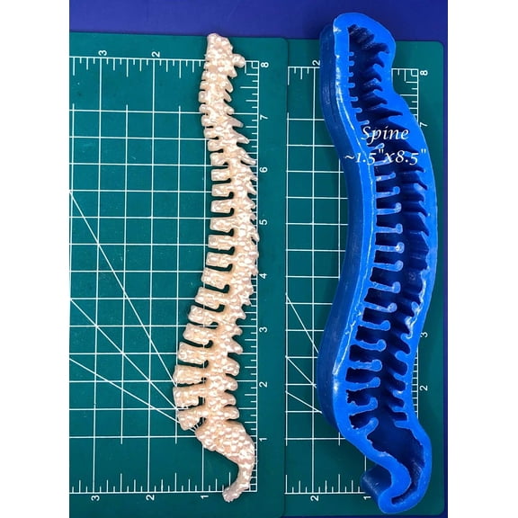 Spine Silicone Freshie Mold