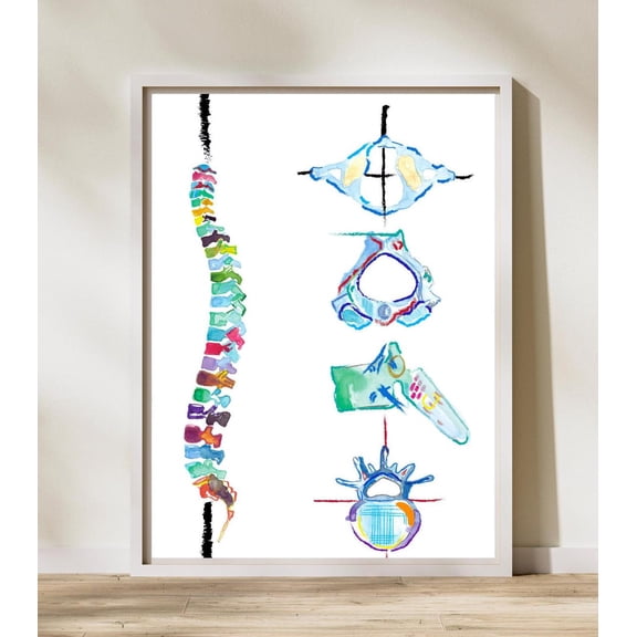 Spine Vertebrae Physical Therapy Wall Art Print, Unframed Paper Poster 8x10in