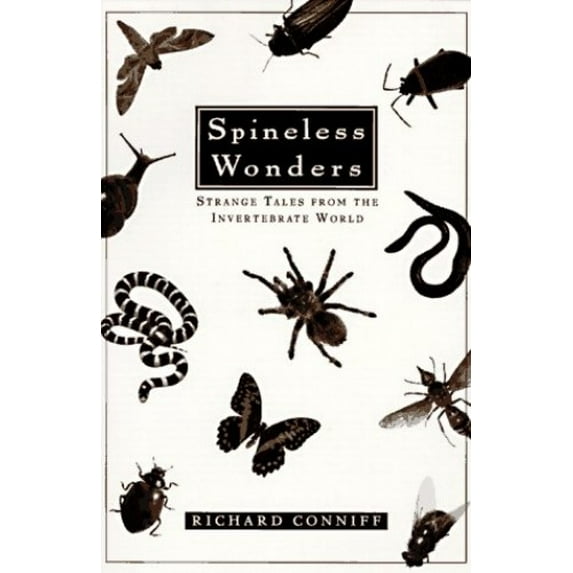 Pre-Owned Spineless Wonders: Strange Tales from the Invertebrate World (Paperback) 0805055312 9780805055313