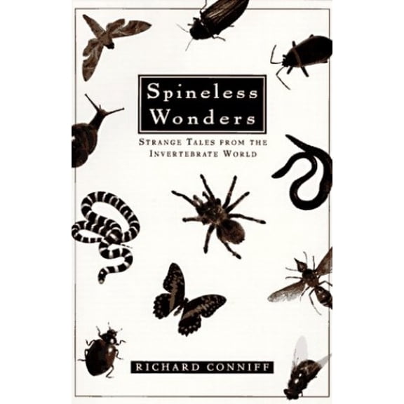 Pre-Owned Spineless Wonders: Strange Tales from the Invertebrate World (Paperback) 0805055312 9780805055313