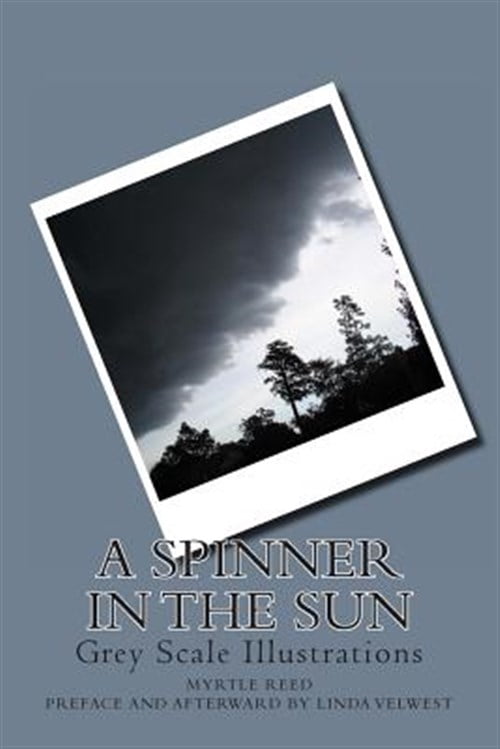 Spinner in the Sun : Grey Scale Illustrations