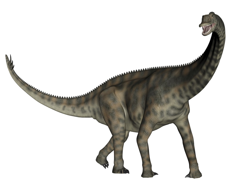 Spinophorosaurus dinosaur Canvas Art - Elena DuvernayStocktrek Images (16 x 13)