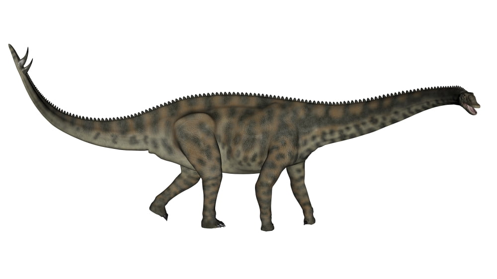Spinophorosaurus dinosaur Canvas Art - Elena DuvernayStocktrek Images (19 x 11)