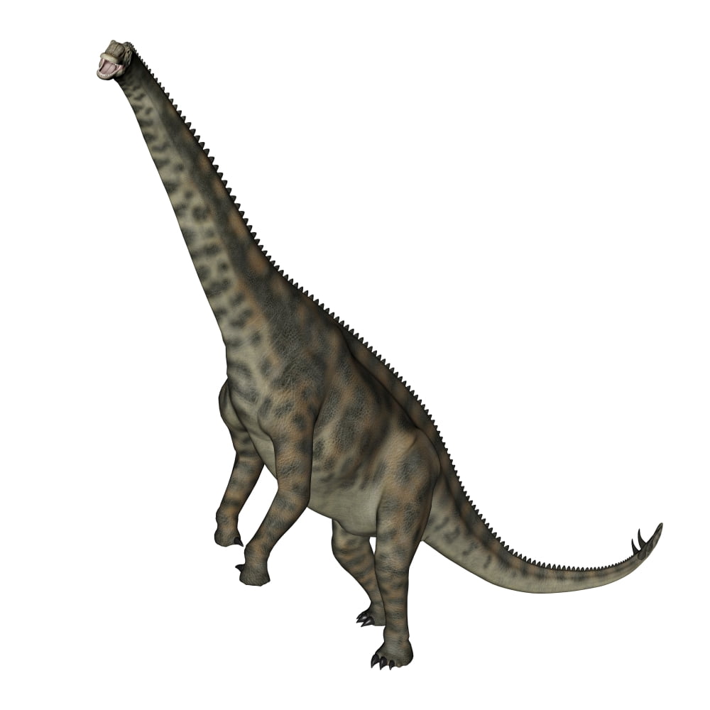 Spinophorosaurus dinosaur standing up Canvas Art - Elena DuvernayStocktrek Images (29 x 29)
