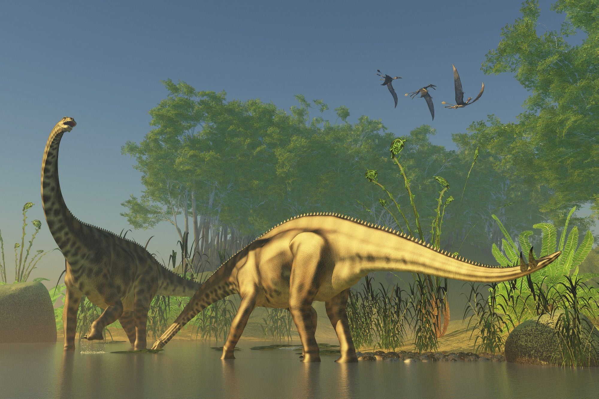 Spinophorosaurus dinosaurs grazing the inhabited swamps of the Jurassic period Canvas Art - Corey FordStocktrek Images (35 x 23)
