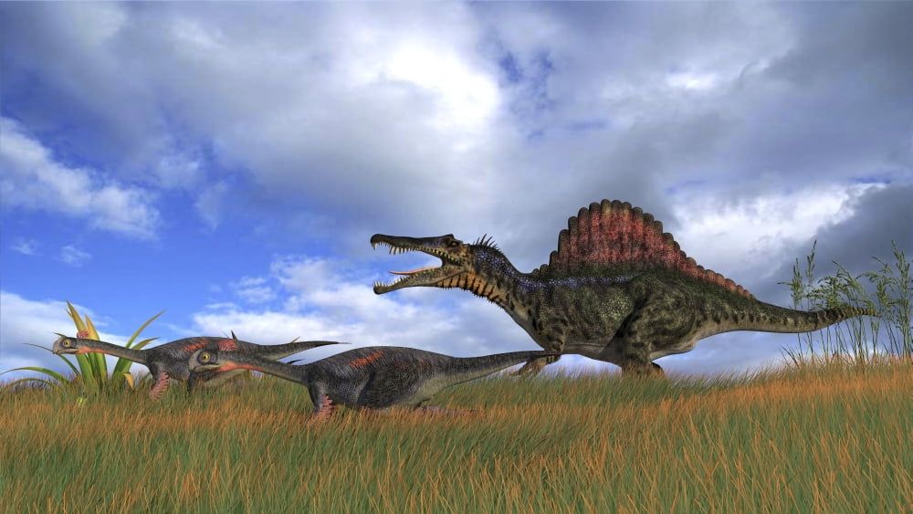 Spinosaurus chasing two Gigantoraptors Canvas Art - Kostyantyn IvanyshenStocktrek Images (19 x 11)