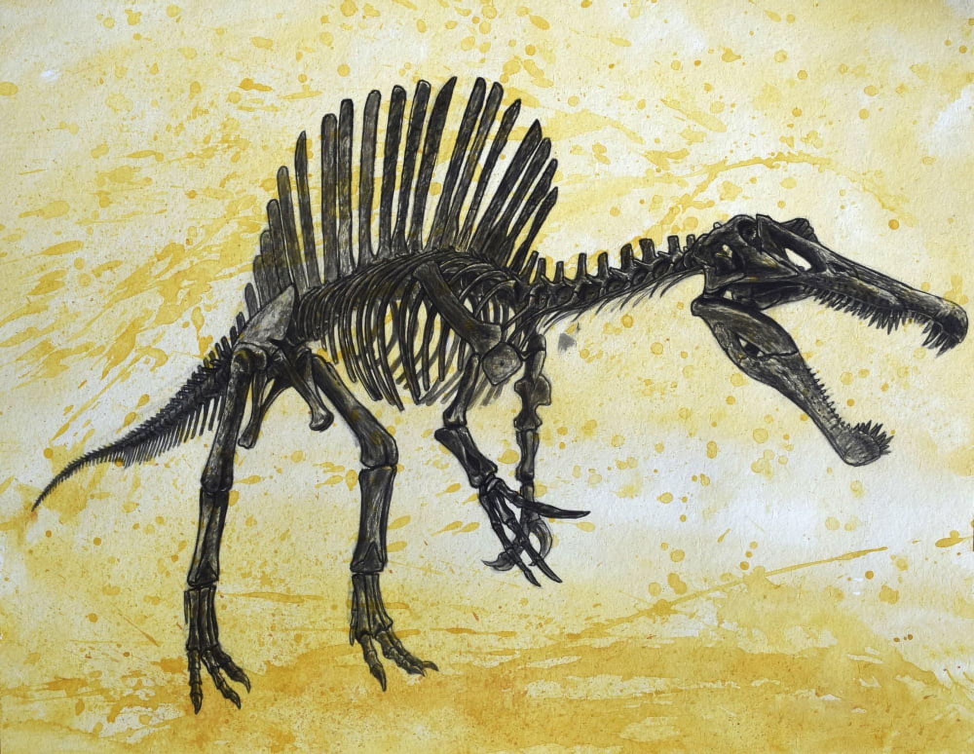 Spinosaurus dinosaur skeleton Canvas Art - Harm PlatStocktrek Images (32 x 25)