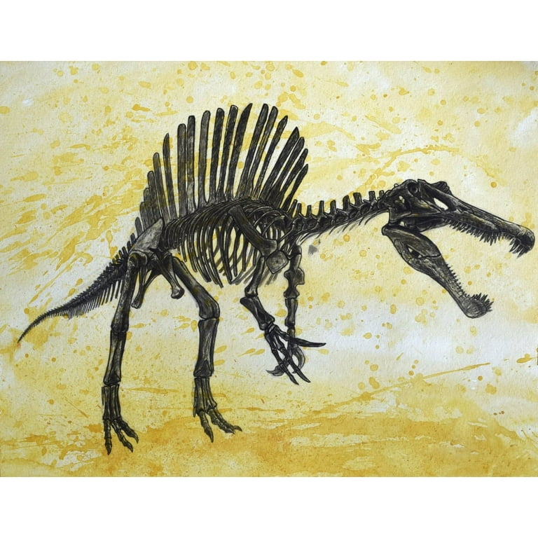 Dinosaur Poster Prints, Dinosaur Poster Paintings