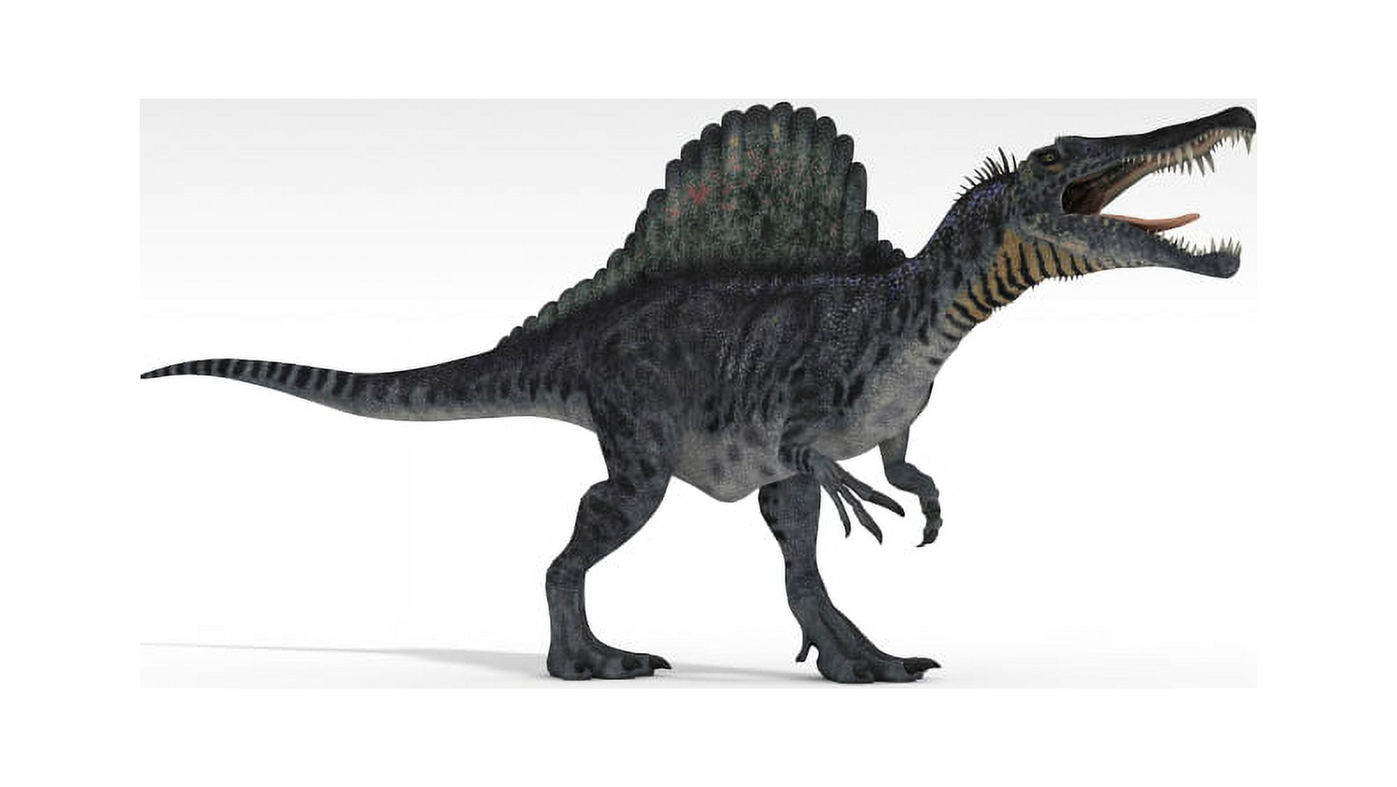Spinosaurus dinosaur white background Canvas Art - Kostyantyn IvanyshenStocktrek Images (19 x 11)