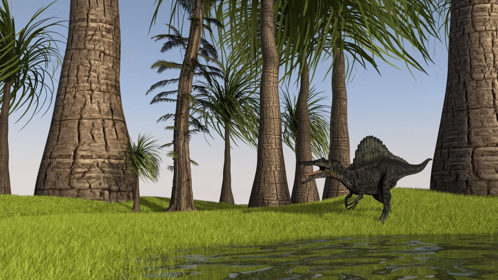 Spinosaurus hunting along the edge of a swamp Canvas Art - Kostyantyn IvanyshenStocktrek Images (19 x 11)