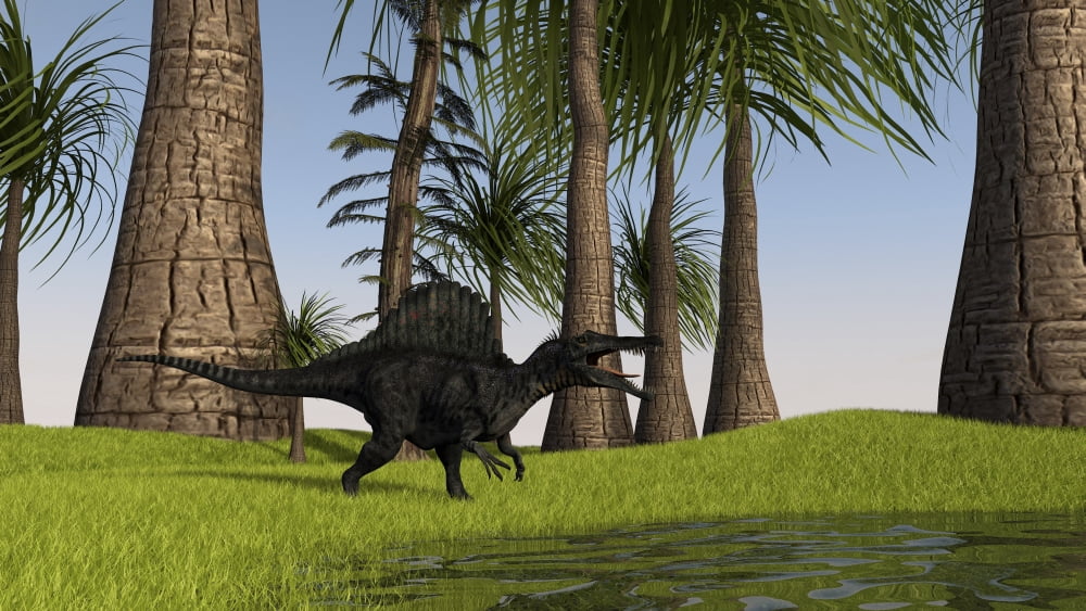 Spinosaurus hunting along the edge of a swamp Canvas Art - Kostyantyn IvanyshenStocktrek Images (38 x 22)