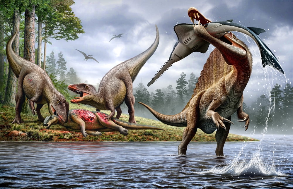 Spinosaurus hunting an Onchopristis with a pair of Carcharodontosaurus in background Canvas Art - Mohamad HaghaniStocktrek Images (18 x 12)