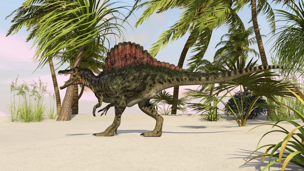 Spinosaurus hunting for food Canvas Art - Kostyantyn IvanyshenStocktrek Images (38 x 22)
