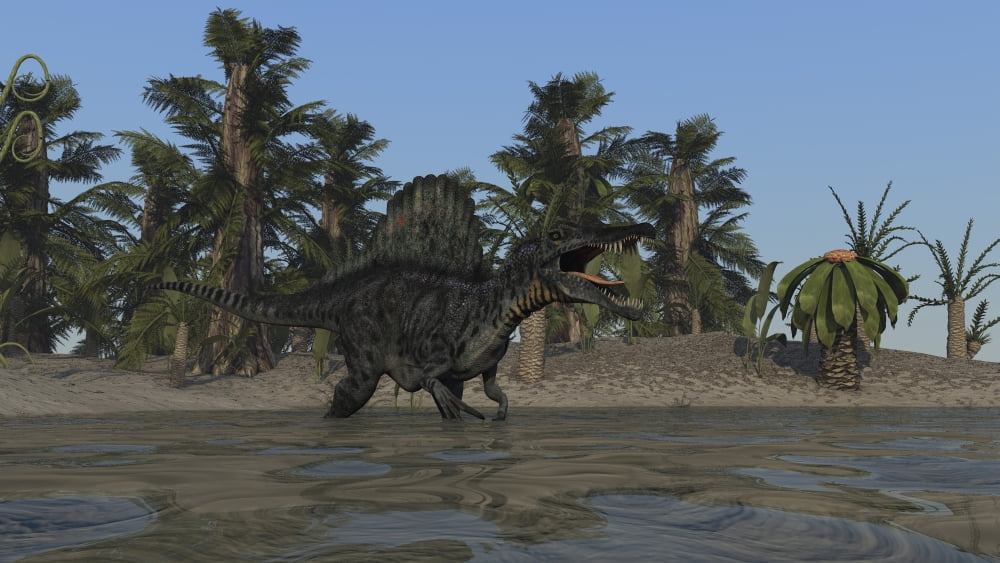 Spinosaurus hunting for food in prehistoric waters Canvas Art - Kostyantyn IvanyshenStocktrek Images (19 x 11)