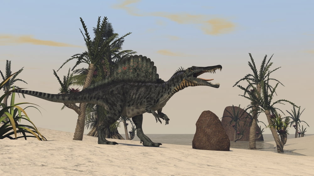 Spinosaurus hunting for its next meal Canvas Art - Kostyantyn IvanyshenStocktrek Images (19 x 11)