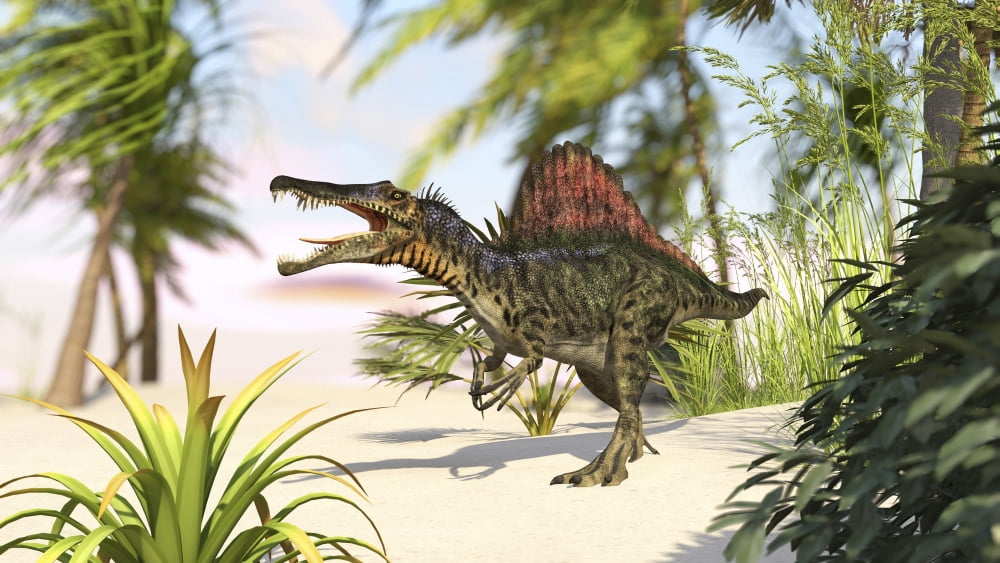 Spinosaurus hunting for its next meal Canvas Art - Kostyantyn IvanyshenStocktrek Images (19 x 11)