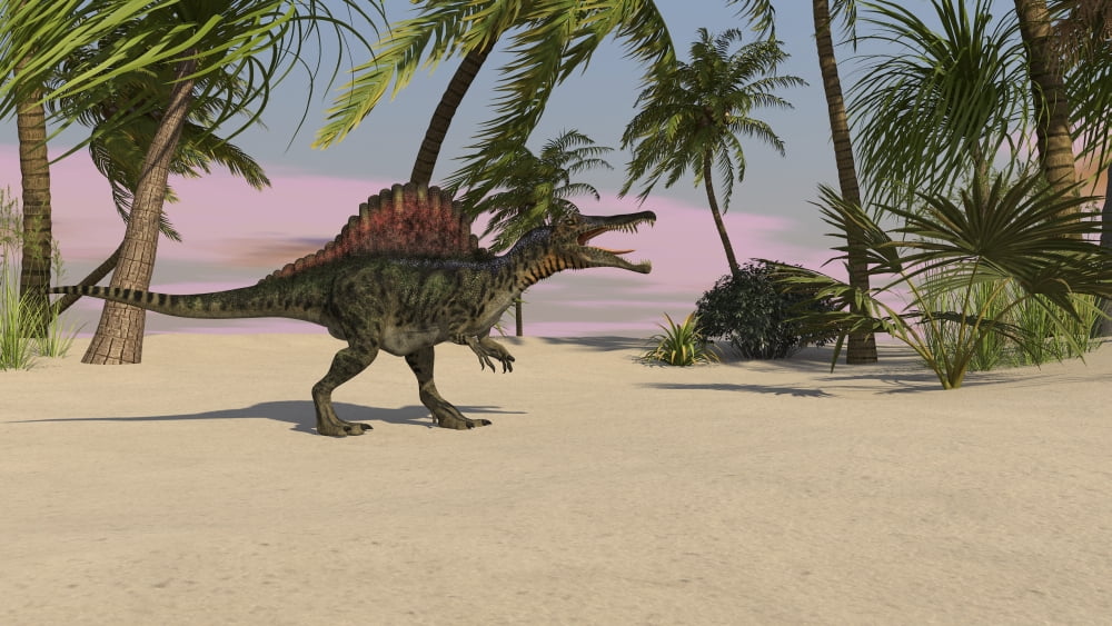 Spinosaurus hunting for its next meal Canvas Art - Kostyantyn IvanyshenStocktrek Images (19 x 11)