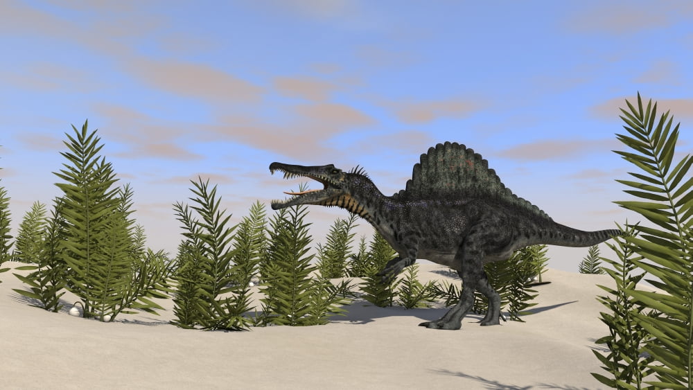 Spinosaurus hunting for its next meal Canvas Art - Kostyantyn IvanyshenStocktrek Images (38 x 22)
