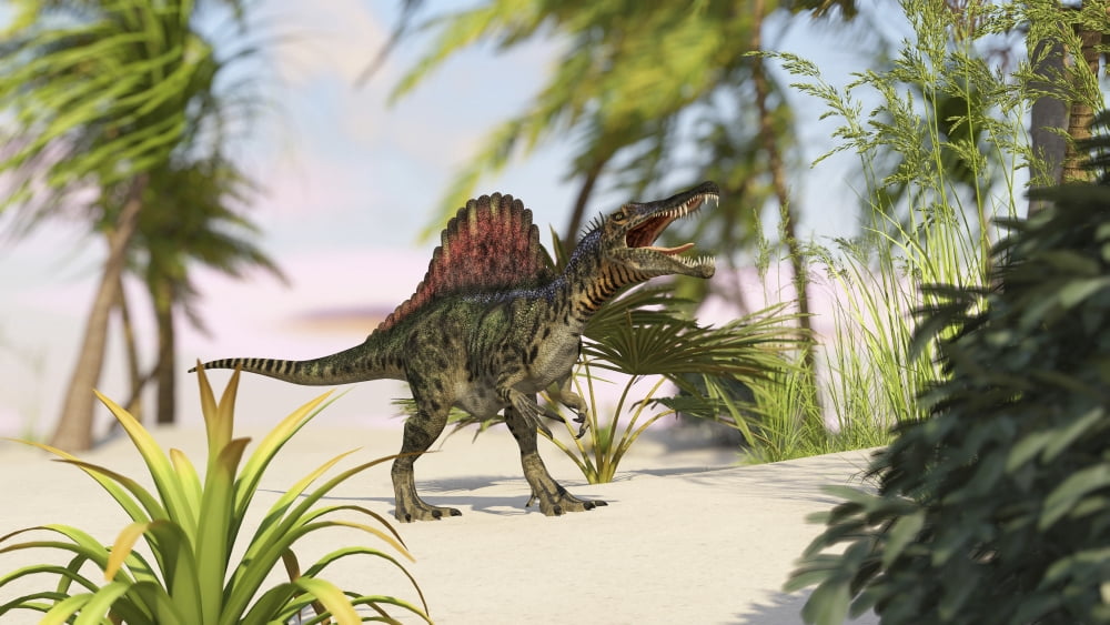 Spinosaurus hunting for its next meal Canvas Art - Kostyantyn IvanyshenStocktrek Images (38 x 22)