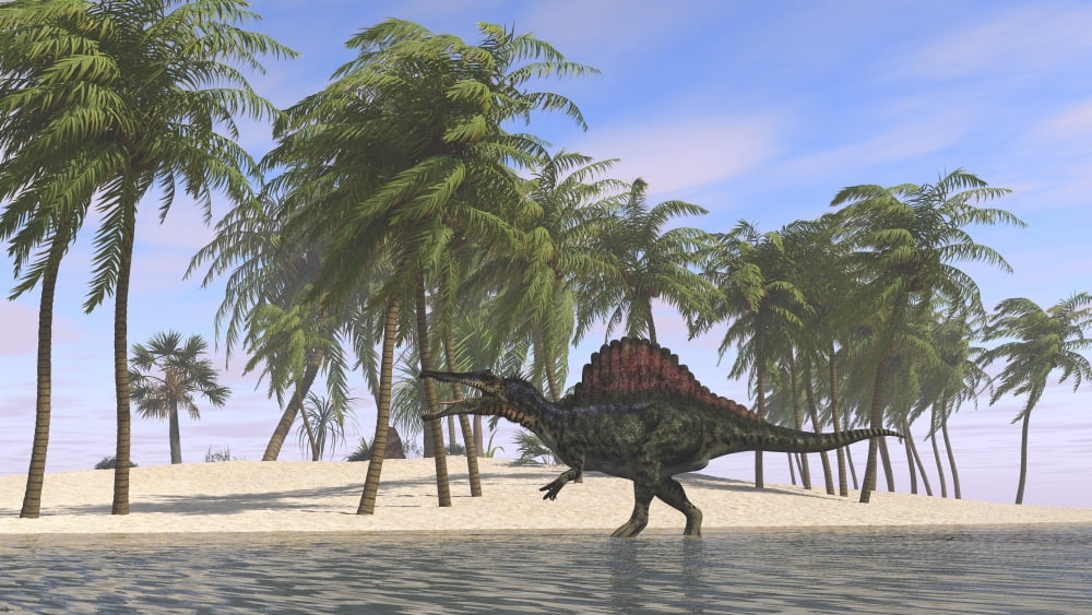 Spinosaurus hunting for its next meal in shallow water Canvas Art - Kostyantyn IvanyshenStocktrek Images (38 x 22)
